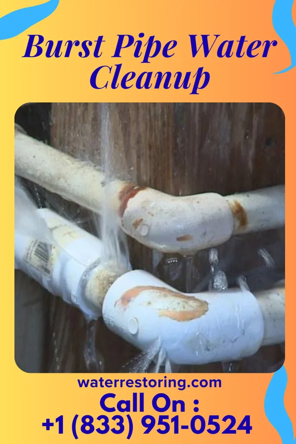 Burst Pipe Water Cleanup in Valley Hi, OH