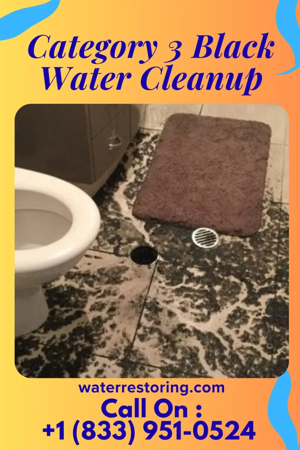 Category 3 Black Water Cleanup in Valley Hi, OH