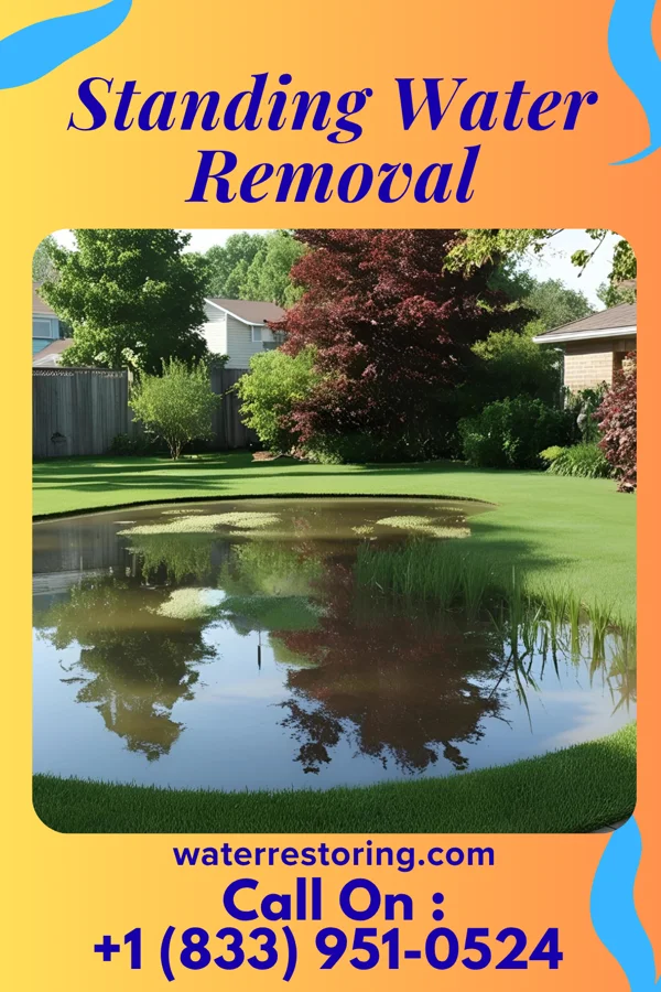 Standing Water Removal in Valley Hi, OH